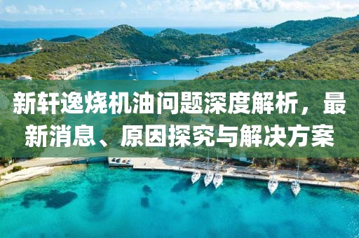 新軒逸燒機(jī)油問題深度解析，最新消息、原因探究與解決方案