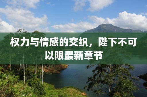 權(quán)力與情感的交織，陛下不可以限最新章節(jié)
