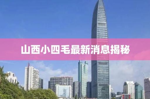 山西小四毛最新消息揭秘