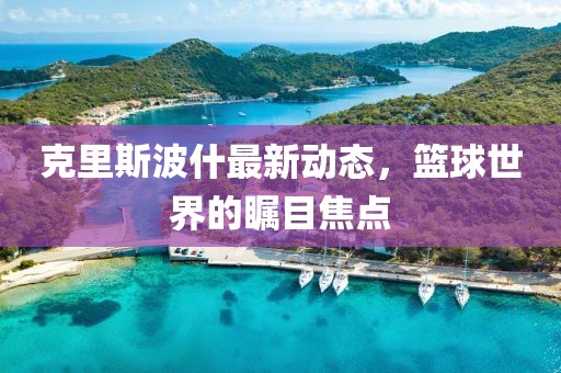 克里斯波什最新動(dòng)態(tài)，籃球世界的矚目焦點(diǎn)