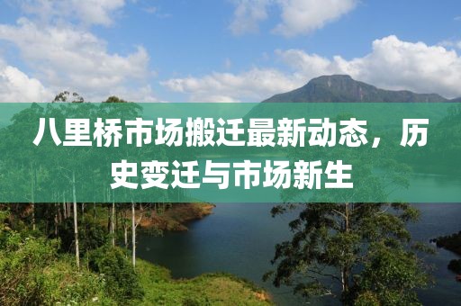 八里橋市場搬遷最新動態(tài)，歷史變遷與市場新生