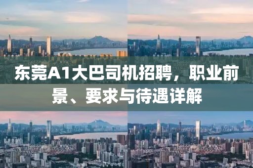 東莞A1大巴司機(jī)招聘，職業(yè)前景、要求與待遇詳解