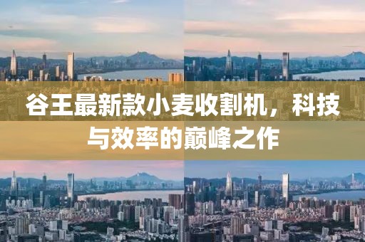 谷王最新款小麥?zhǔn)崭顧C(jī)，科技與效率的巔峰之作