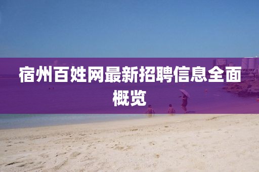 宿州百姓網(wǎng)最新招聘信息全面概覽
