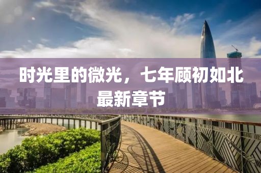時光里的微光，七年顧初如北最新章節(jié)