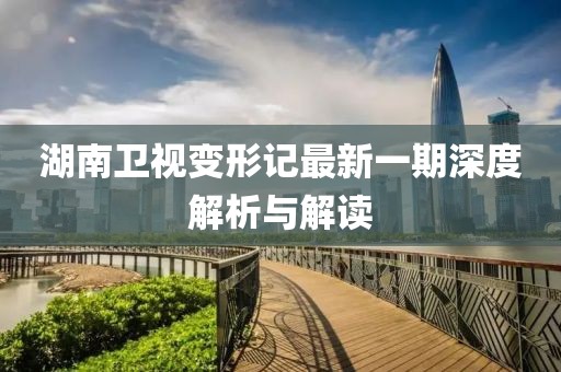 湖南衛(wèi)視變形記最新一期深度解析與解讀