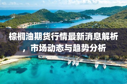 棕櫚油期貨行情最新消息解析，市場(chǎng)動(dòng)態(tài)與趨勢(shì)分析