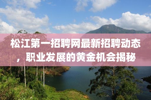 松江第一招聘網(wǎng)最新招聘動(dòng)態(tài)，職業(yè)發(fā)展的黃金機(jī)會(huì)揭秘
