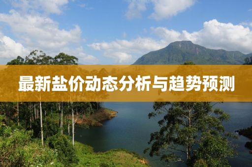 最新鹽價(jià)動(dòng)態(tài)分析與趨勢(shì)預(yù)測(cè)