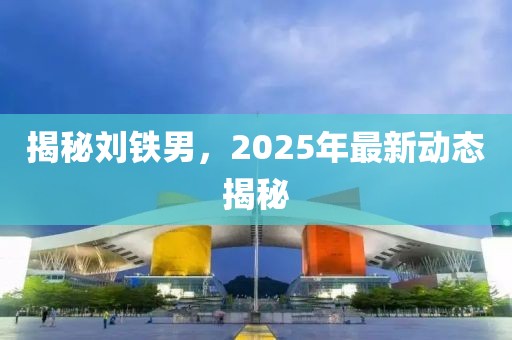 揭秘劉鐵男，2025年最新動態(tài)揭秘