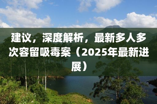建議，深度解析，最新多人多次容留吸毒案（2025年最新進展）