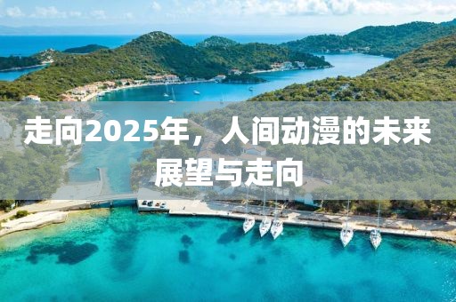 走向2025年，人間動(dòng)漫的未來展望與走向