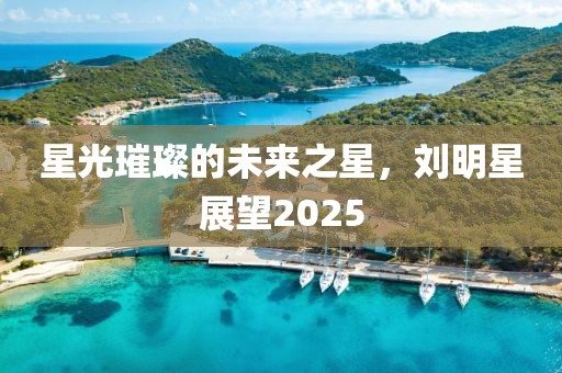 星光璀璨的未來之星，劉明星展望2025
