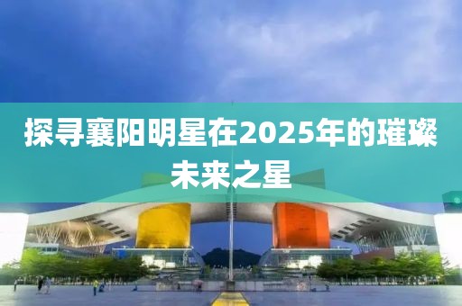 探尋襄陽明星在2025年的璀璨未來之星