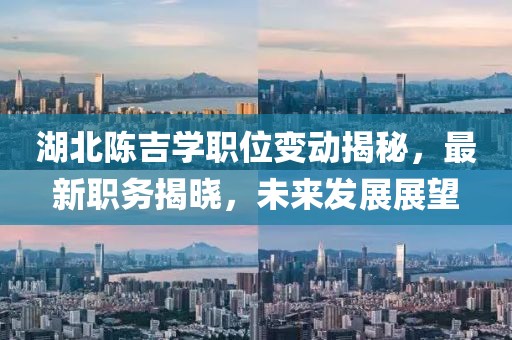 湖北陳吉學(xué)職位變動(dòng)揭秘，最新職務(wù)揭曉，未來發(fā)展展望