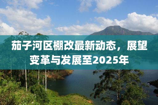 茄子河區(qū)棚改最新動態(tài)，展望變革與發(fā)展至2025年