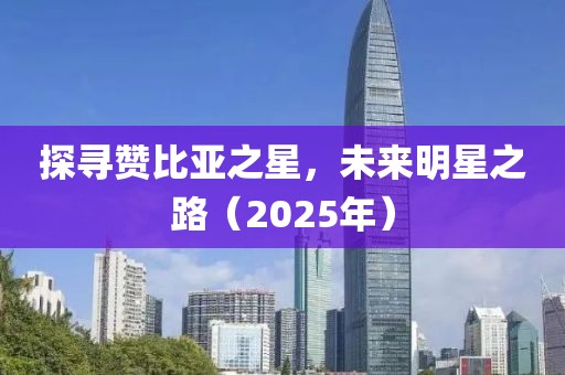 探尋贊比亞之星，未來(lái)明星之路（2025年）
