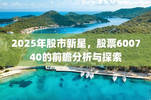 2025年股市新星，股票600740的前瞻分析與探索