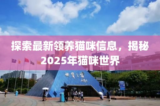 探索最新領(lǐng)養(yǎng)貓咪信息，揭秘2025年貓咪世界