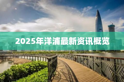 2025年洋浦最新資訊概覽