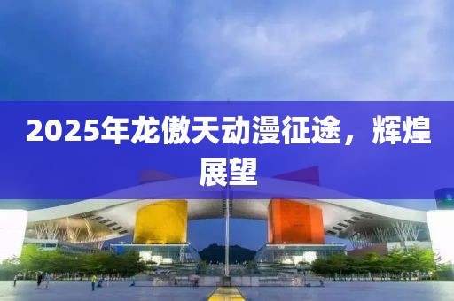 2025年龍傲天動漫征途，輝煌展望