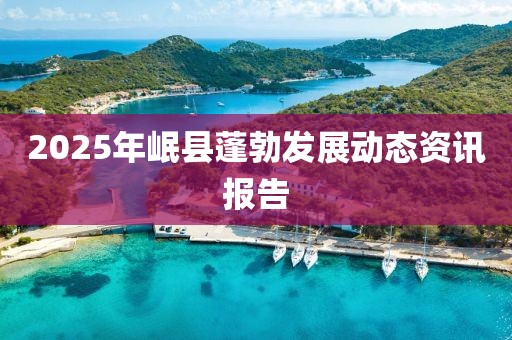 2025年岷縣蓬勃發(fā)展動態(tài)資訊報告