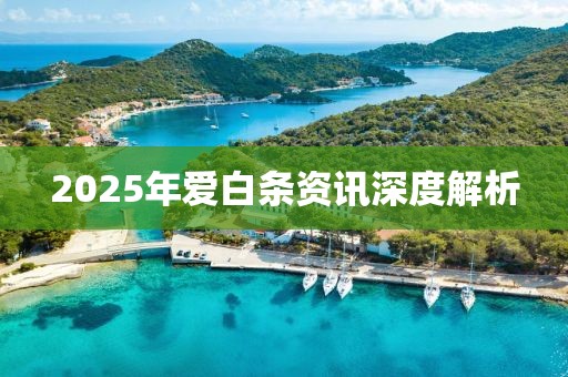 2025年愛(ài)白條資訊深度解析