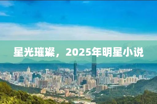 星光璀璨，2025年明星小說
