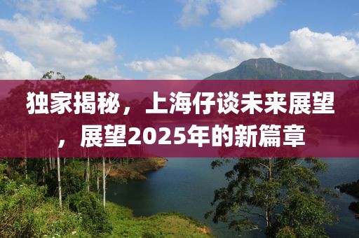 獨家揭秘，上海仔談未來展望，展望2025年的新篇章