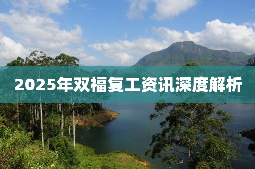 2025年雙福復(fù)工資訊深度解析