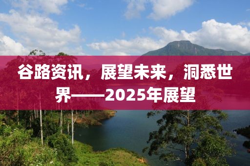 谷路資訊，展望未來，洞悉世界——2025年展望