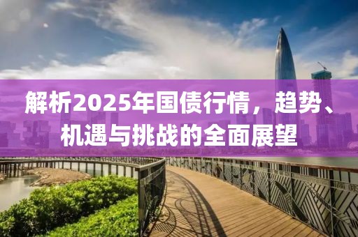 解析2025年國債行情，趨勢、機遇與挑戰(zhàn)的全面展望