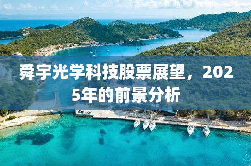 舜宇光學(xué)科技股票展望，2025年的前景分析