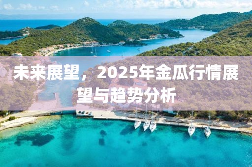 未來(lái)展望，2025年金瓜行情展望與趨勢(shì)分析