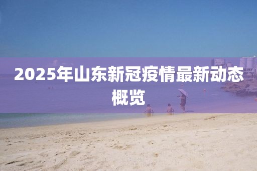 2025年山東新冠疫情最新動(dòng)態(tài)概覽