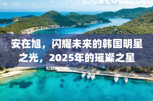 安在旭，閃耀未來的韓國明星之光，2025年的璀璨之星