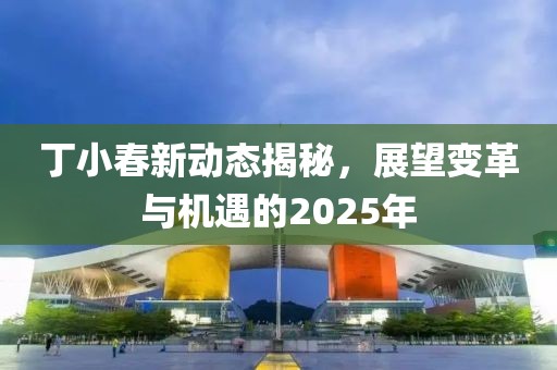 丁小春新動態(tài)揭秘，展望變革與機遇的2025年