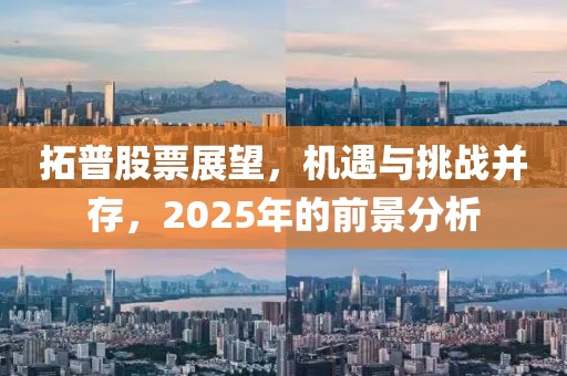 拓普股票展望，機(jī)遇與挑戰(zhàn)并存，2025年的前景分析