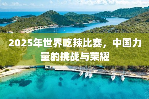 2025年世界吃辣比賽，中國力量的挑戰(zhàn)與榮耀