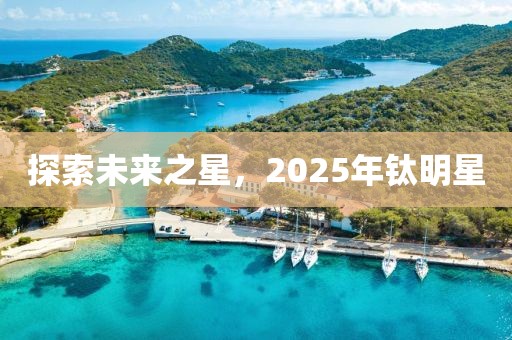 探索未來之星，2025年鈦明星