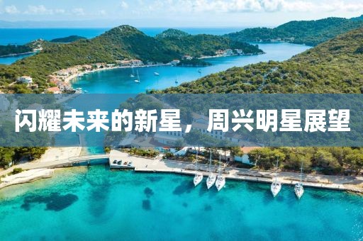 閃耀未來(lái)的新星，周興明星展望
