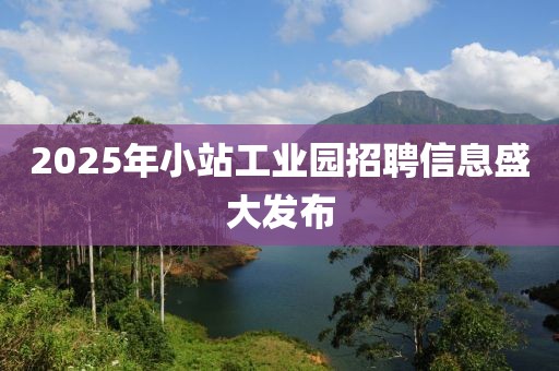 2025年小站工業(yè)園招聘信息盛大發(fā)布