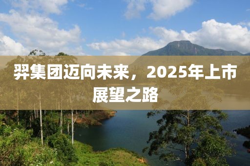 羿集團邁向未來，2025年上市展望之路