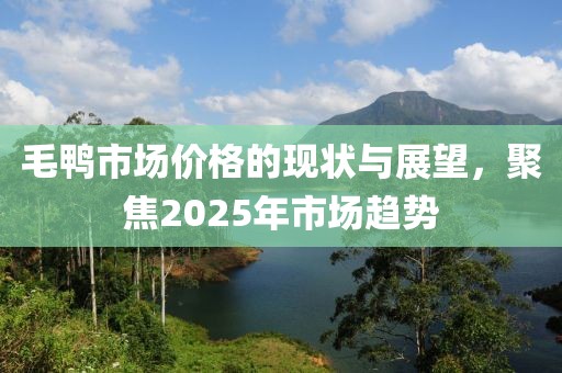 毛鴨市場(chǎng)價(jià)格的現(xiàn)狀與展望，聚焦2025年市場(chǎng)趨勢(shì)