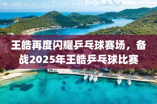 王皓再度閃耀乒乓球賽場(chǎng)，備戰(zhàn)2025年王皓乒乓球比賽