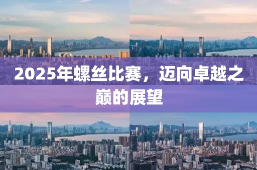 2025年螺絲比賽，邁向卓越之巔的展望
