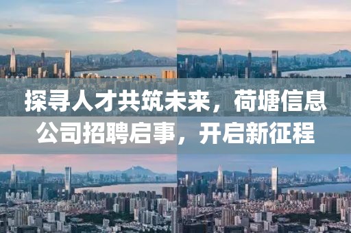 探尋人才共筑未來(lái)，荷塘信息公司招聘啟事，開(kāi)啟新征程