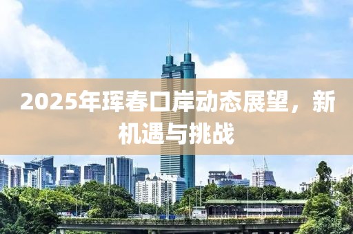2025年琿春口岸動態(tài)展望，新機(jī)遇與挑戰(zhàn)