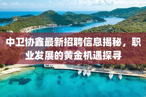 中衛(wèi)協(xié)鑫最新招聘信息揭秘，職業(yè)發(fā)展的黃金機遇探尋