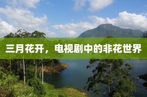 三月花開，電視劇中的非花世界